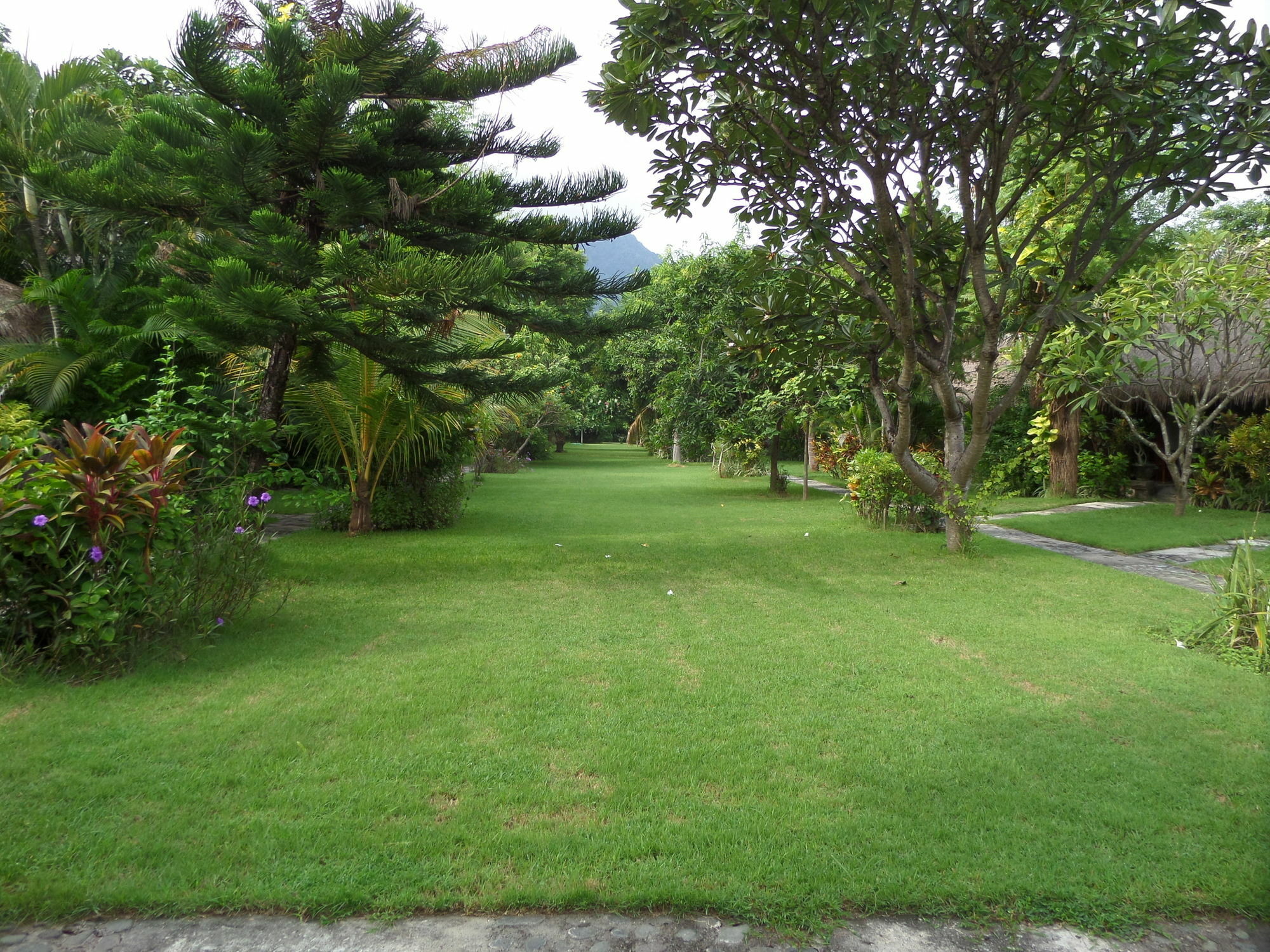 Taman Selini Wahana Beach Resort Pemuteran Eksteriør bilde